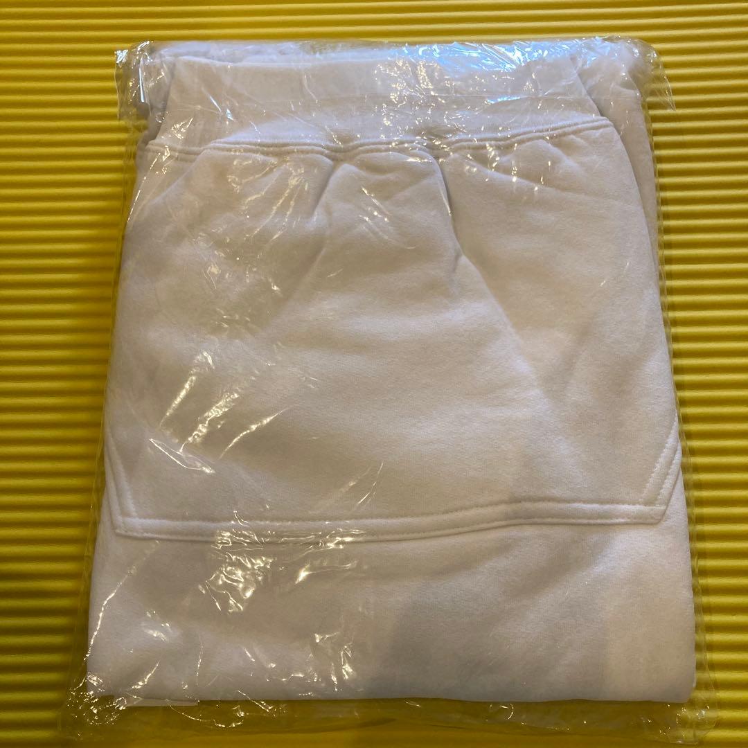 BUMP OF CHICKEN×VERDYコラボパーカー XL