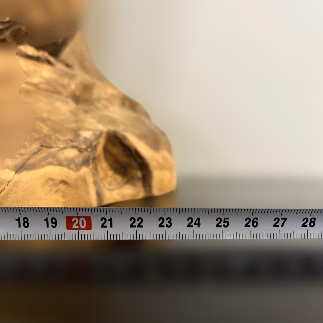 フクロウ 手彫り 在銘 上西捷敏 木彫り 工芸品 彫刻 コレクション　送料無料