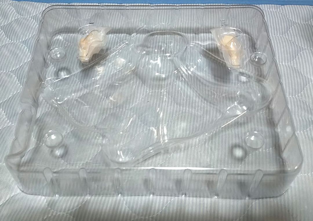 【フィギュアケース付き】リュー・リオン　Lv.6ver