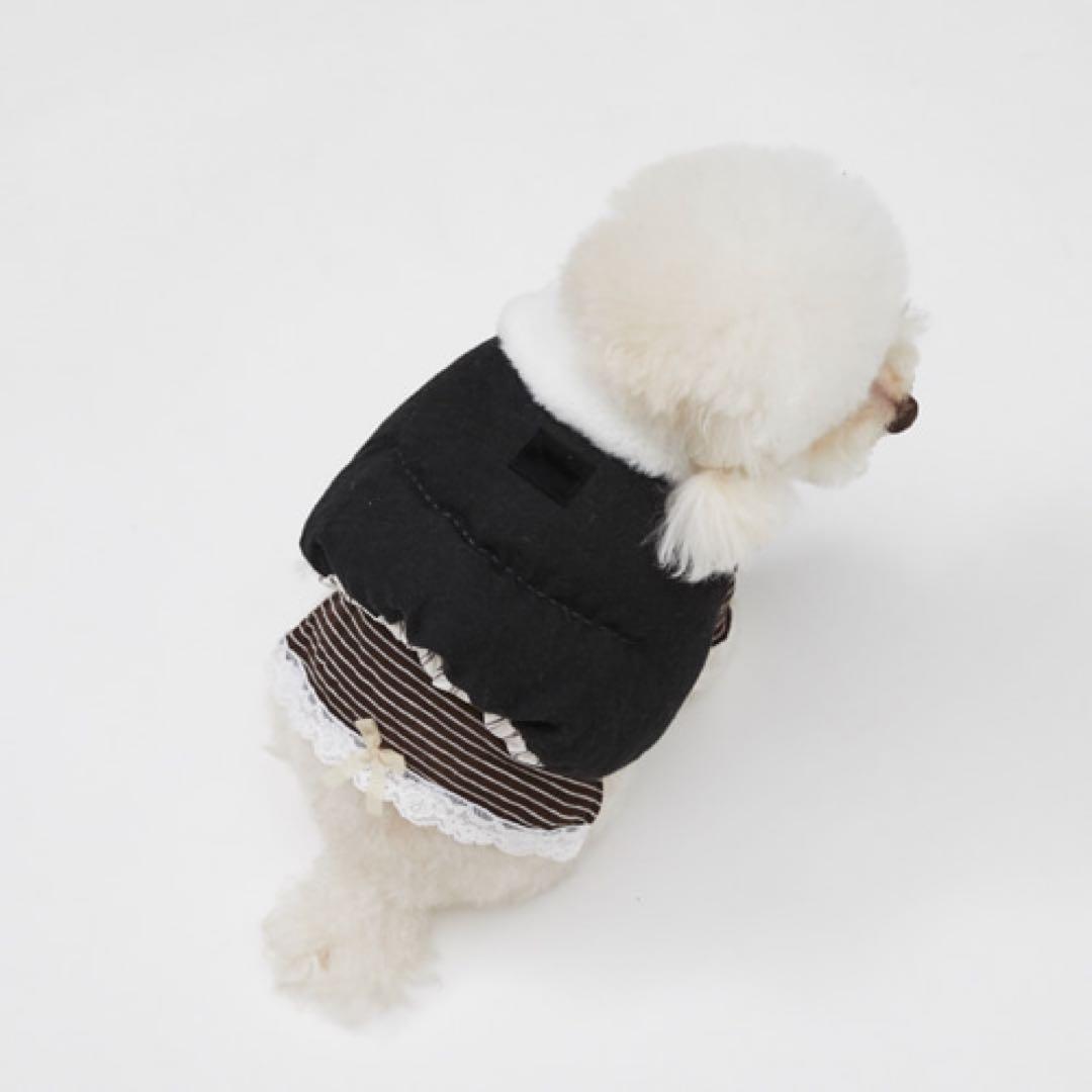 〚Louisdog〛 ルイスドッグ ダウンベストXSサイズ ペット 韓国 新品