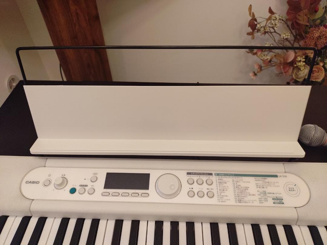 CASIO Casiotone LK-530 キーボード