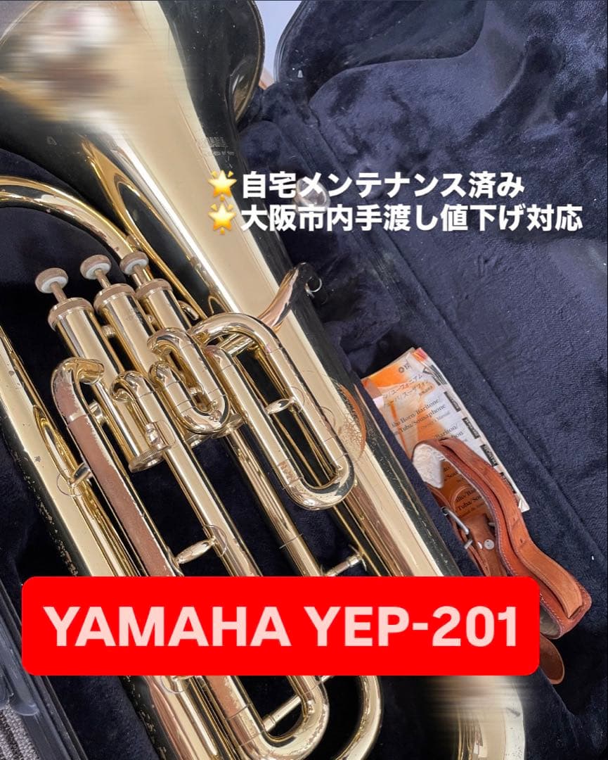 管楽器・吹奏楽器 YAMAHA YEP-201