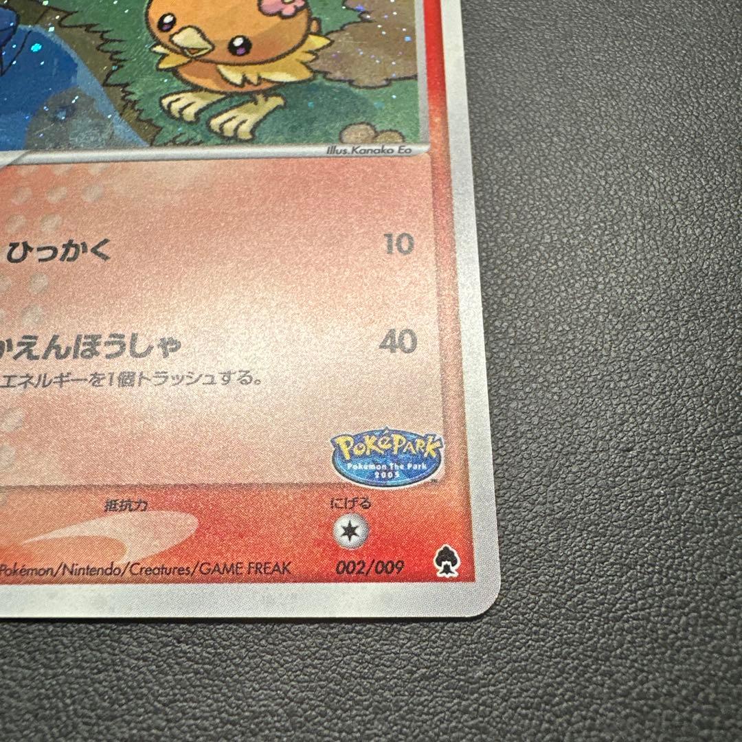 ポケパークのアチャモ 002/009