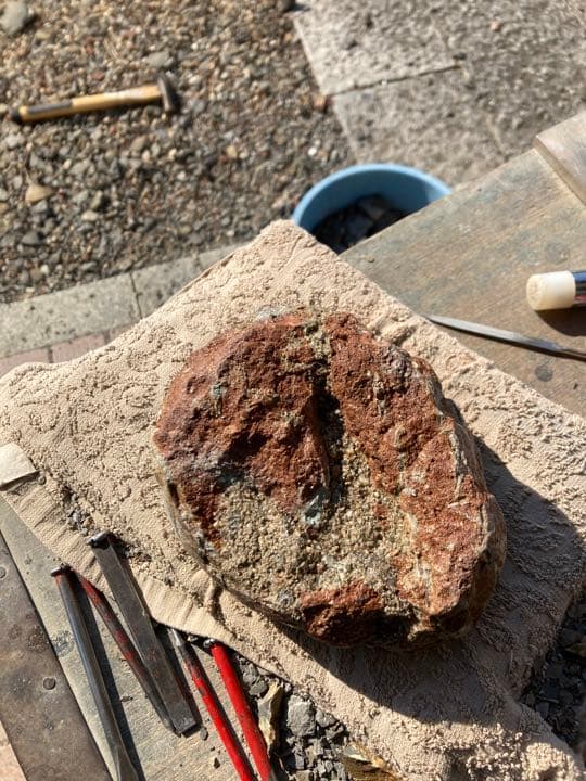 恐竜　ハドロサウルスの卵　本物保証　化石　/フィギュア　コレクション　インテリア