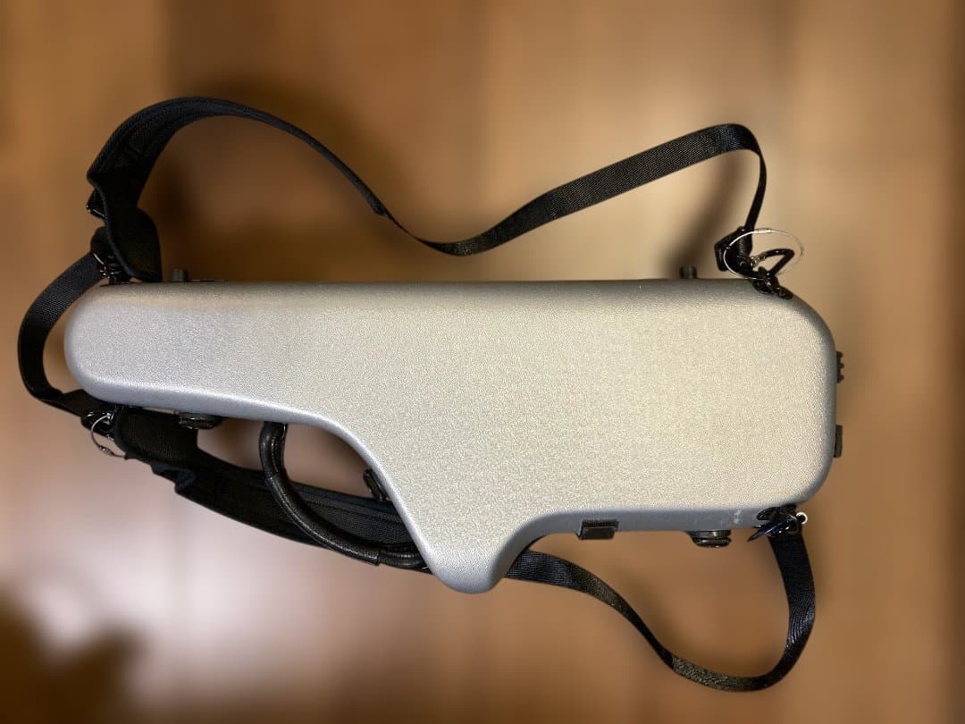 Bam Cabine アルトサックスケース