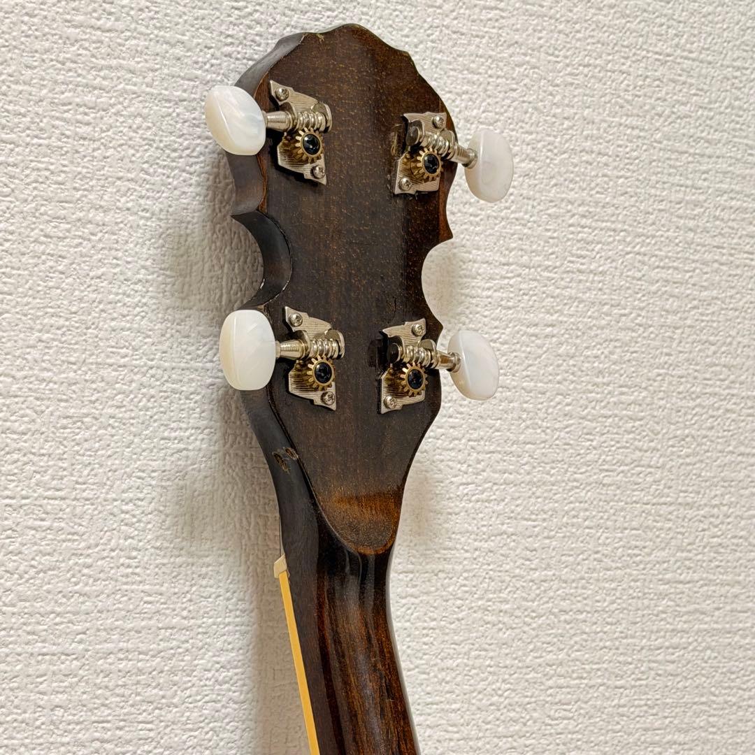 【良品✨】TENESY バンジョー　５弦　BANJO