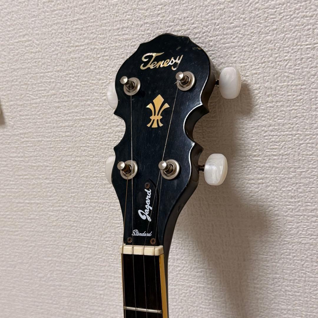 【良品✨】TENESY バンジョー　５弦　BANJO