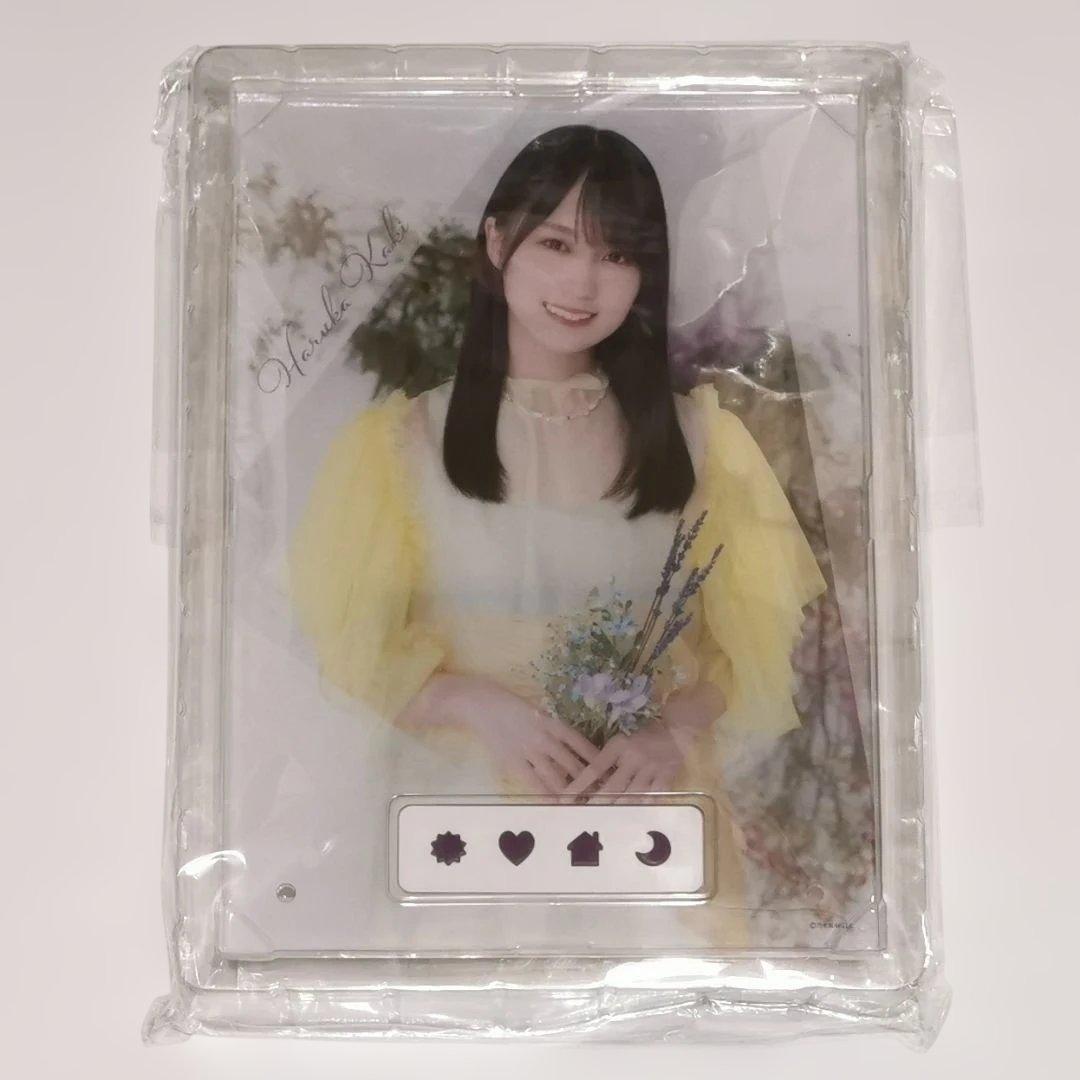 賀喜遥香 ボイスPOP 2022年 福袋