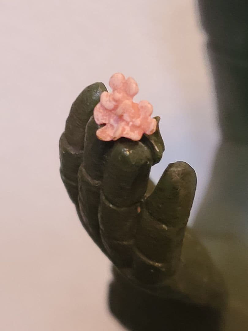 天空の城ラピュタオルゴールロボット兵