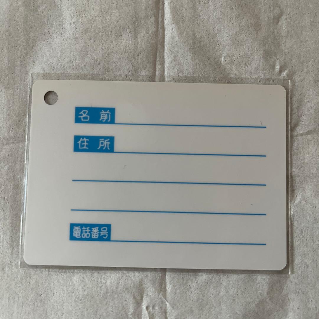 【新品未使用】バンジョーとカズーイの大冒険号 JR記念乗車証