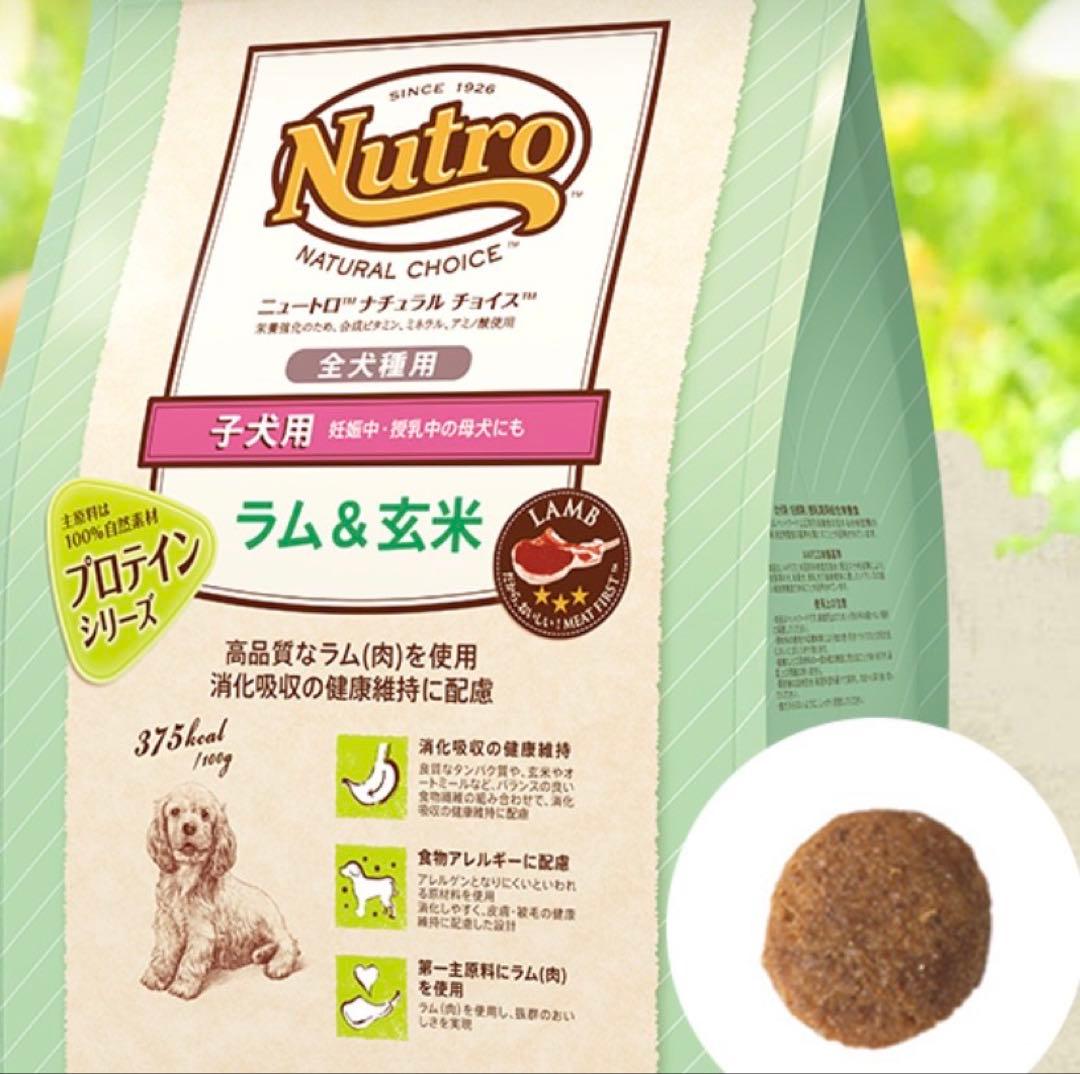 Nutro 子犬用 ラム & 玄米 1.5kg