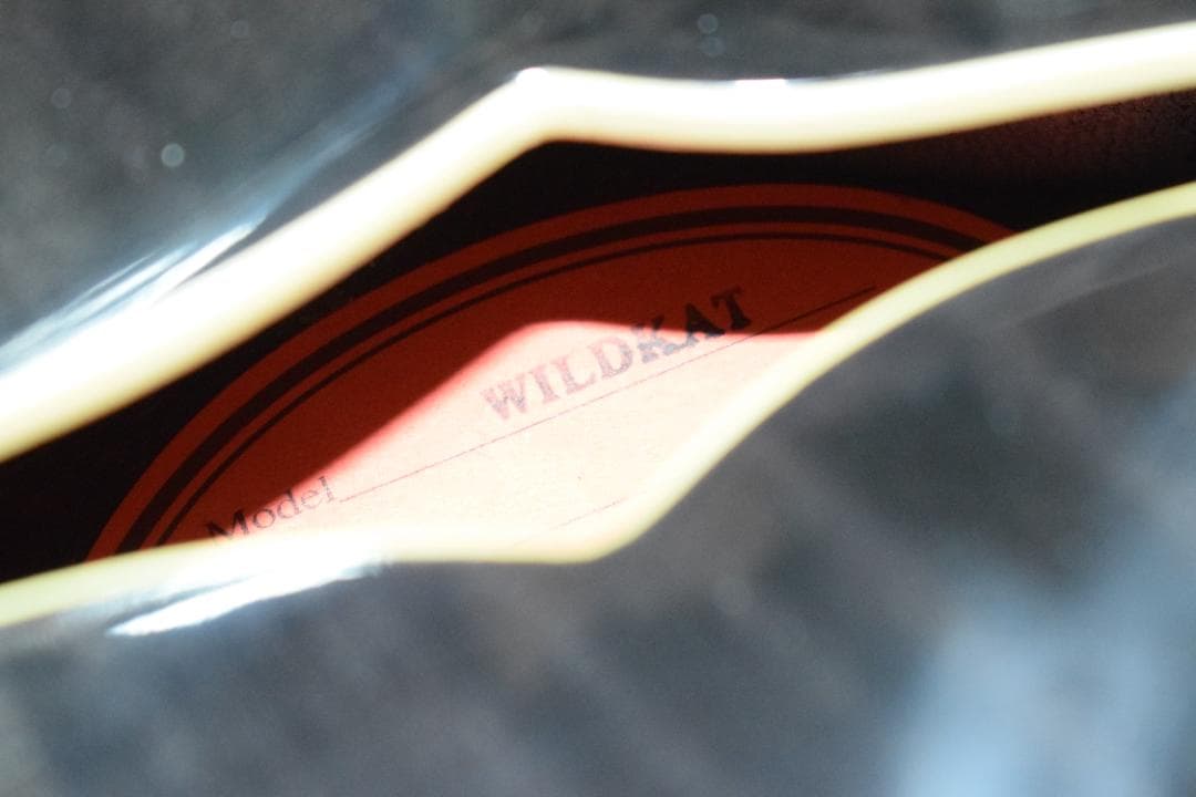 Epiphone WILDKAT TB 純正ハードケース付
