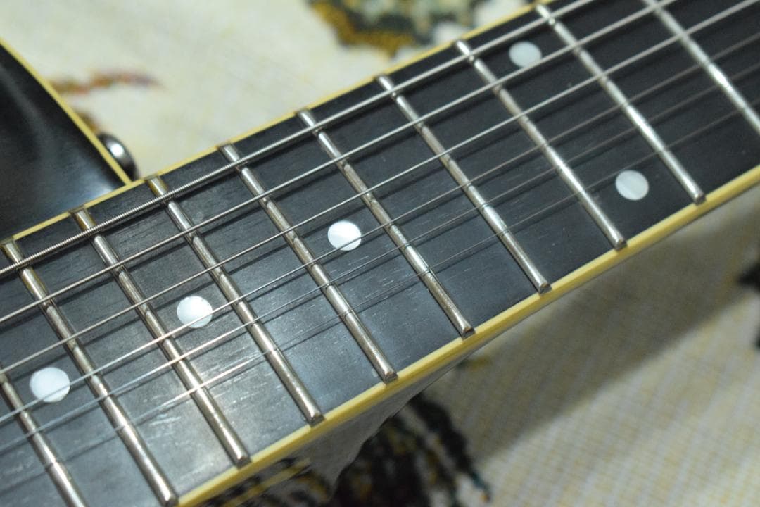 Epiphone WILDKAT TB 純正ハードケース付