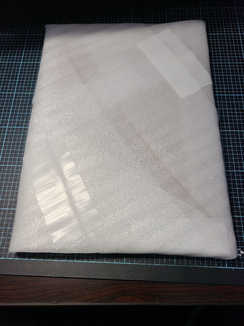 【クレステッドゲッコー】自作　額縁入り　B5