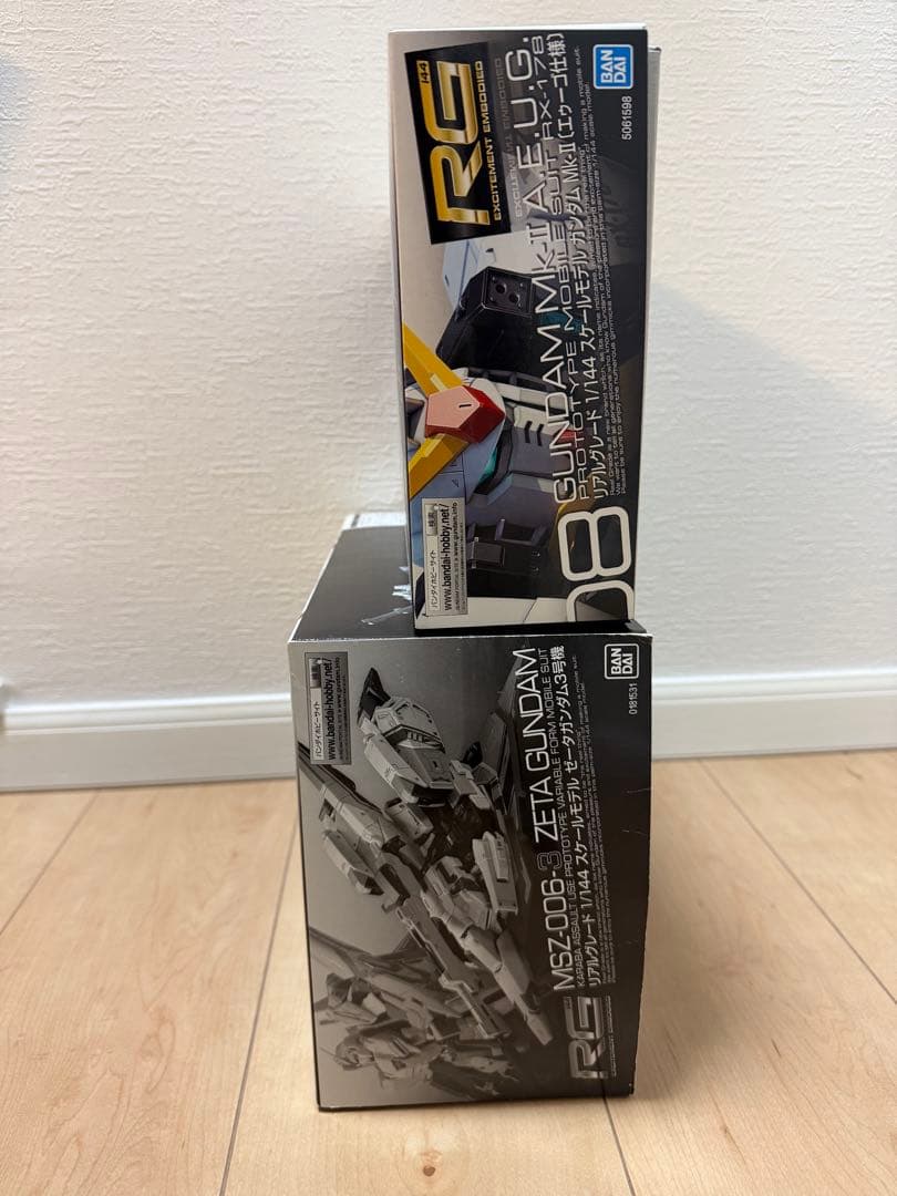 本日限定　RGガンプラ2体セット