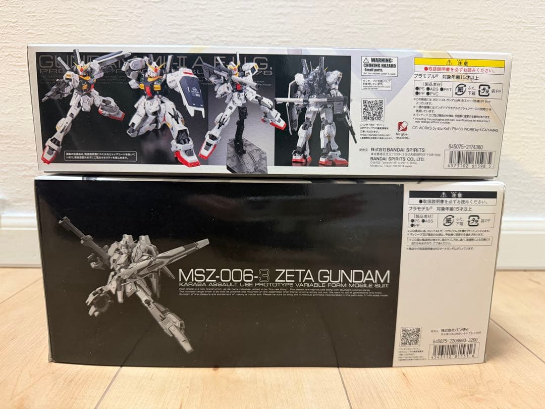 本日限定　RGガンプラ2体セット