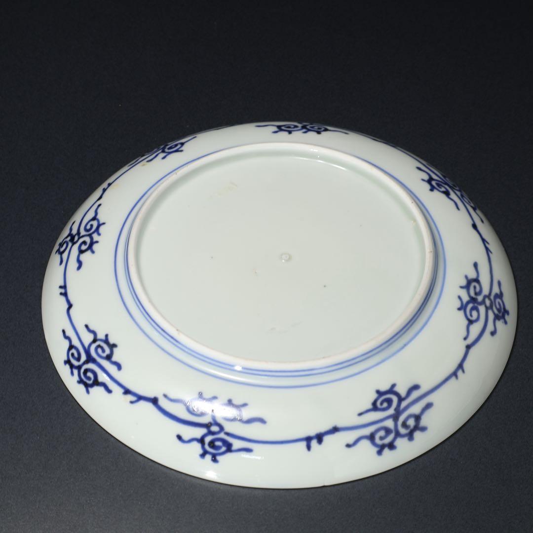 伊万里染付龍文七寸皿　∅21㎝　通り文　骨董　古伊万里　R1480w3B2