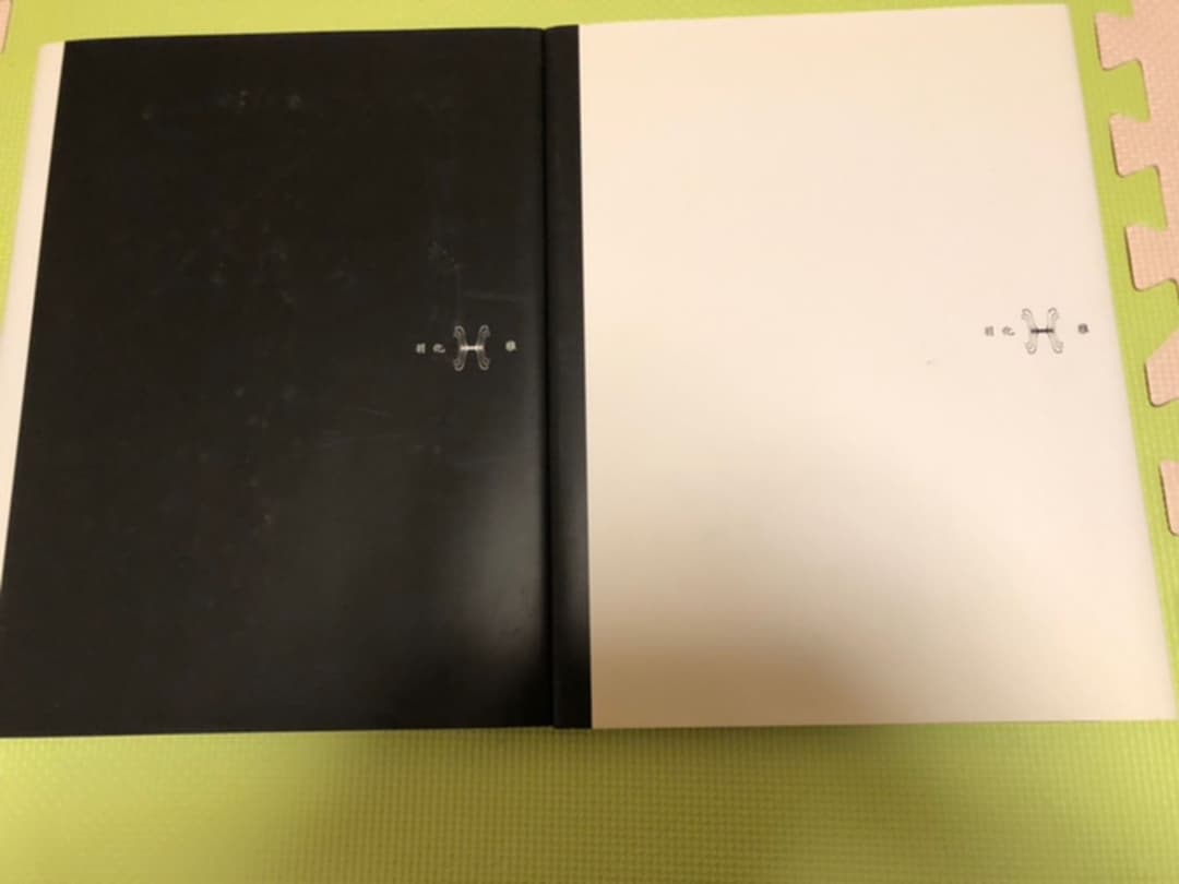 雅　MIYAVI miyavi 写真集　羽化上下巻セット