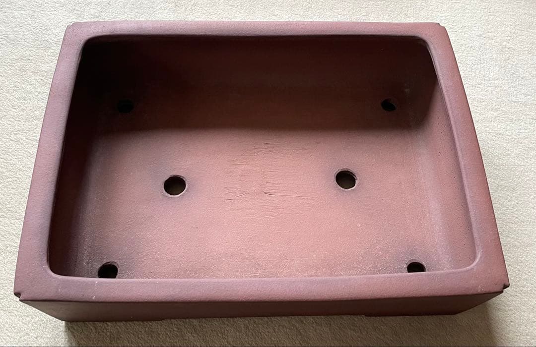 礼峰　盆栽　鉢　48.5cm　長方鉢　大型