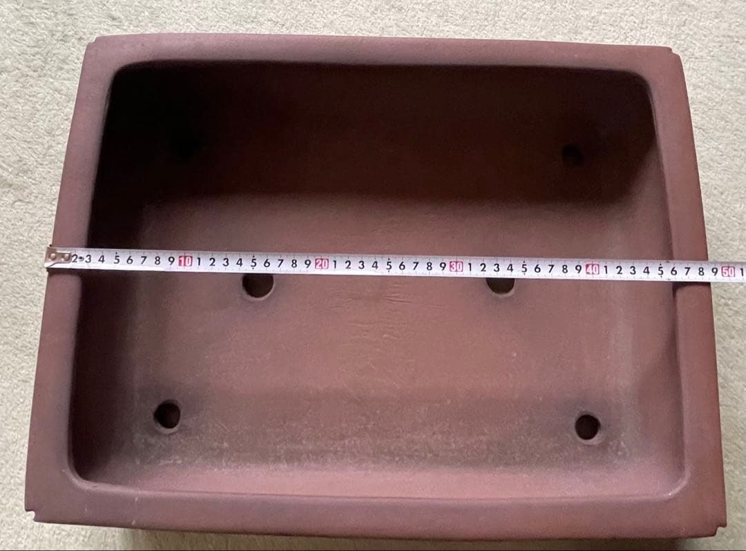 礼峰　盆栽　鉢　48.5cm　長方鉢　大型