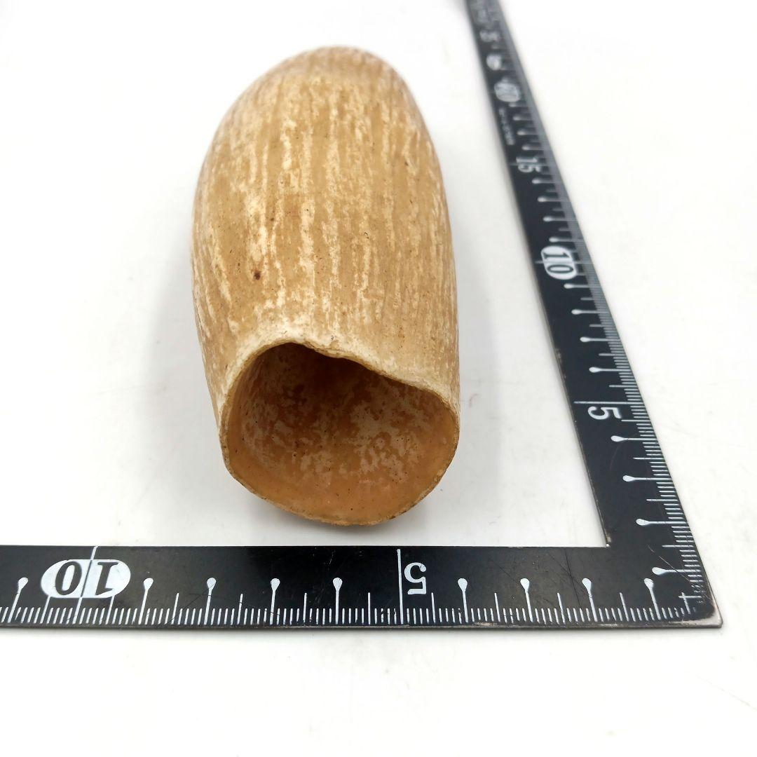 マッコウクジラ 歯 鯨歯 特大 422g 印材や工芸品の素材などに