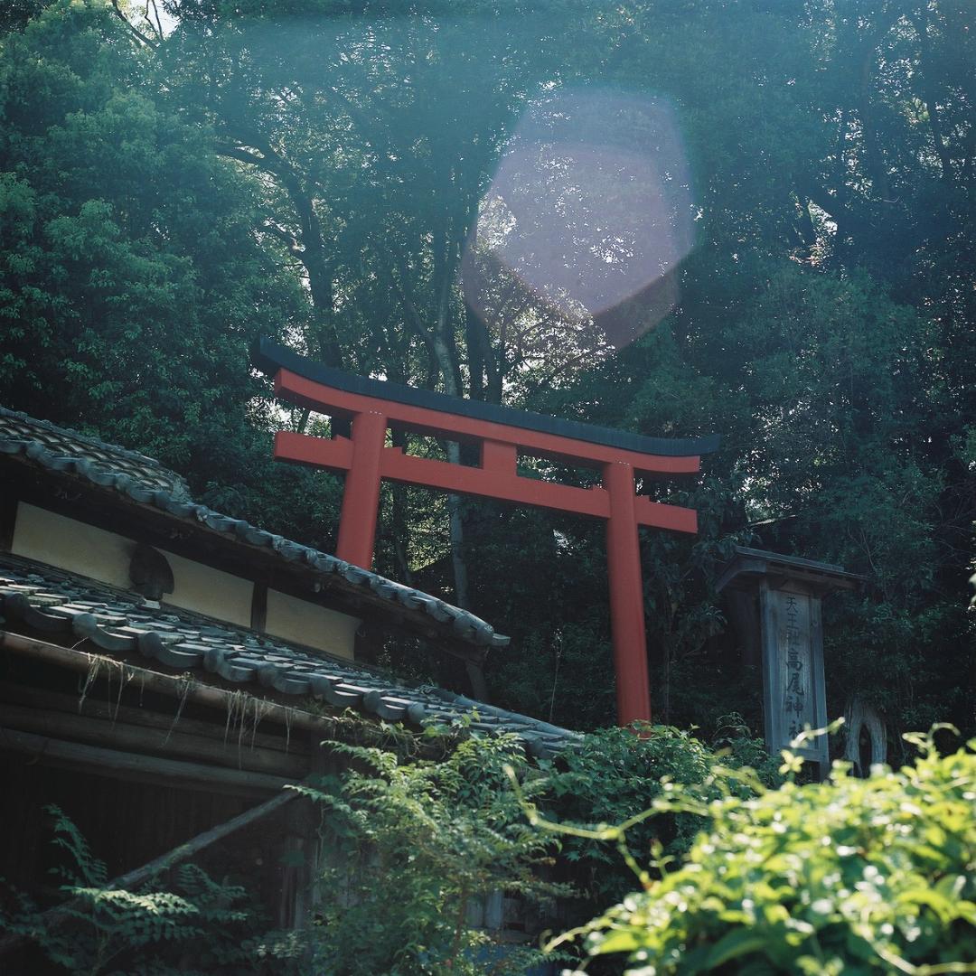 フィルムカメラ Hasselblad 500C/M Planar T 80mm f2.8