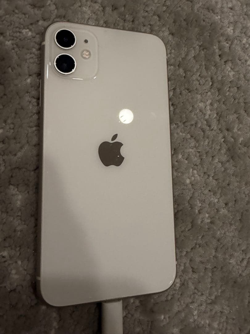 iPhone11 動作問題なし