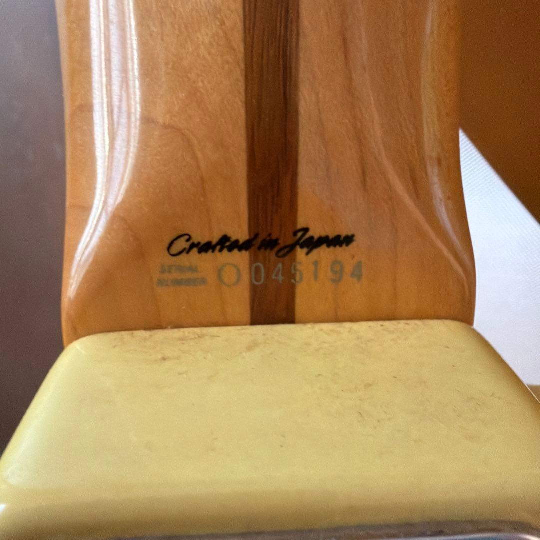 FENDER stratocaster ソフトケース付