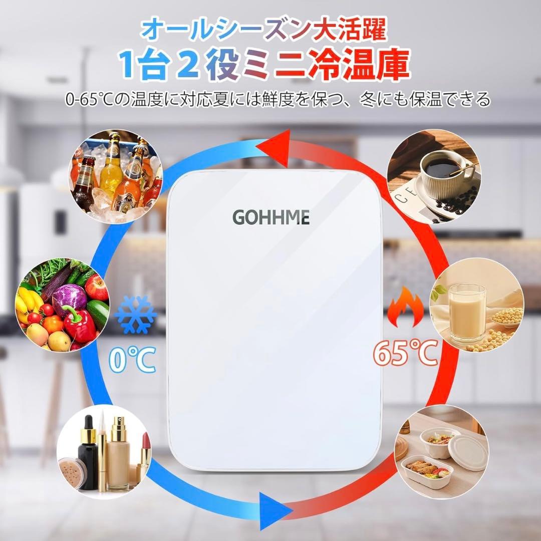 ミニ冷蔵庫 10L 小型冷蔵庫 0-65℃ 保冷保温庫 ミニ 車載用