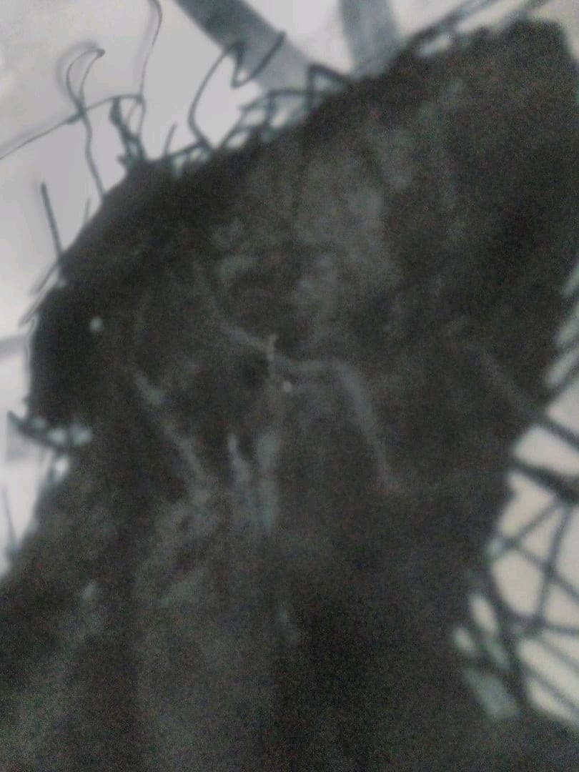 ワンピース 一番くじ Ｓ賞 大海賊シャンクスSP ポスター全2種セット