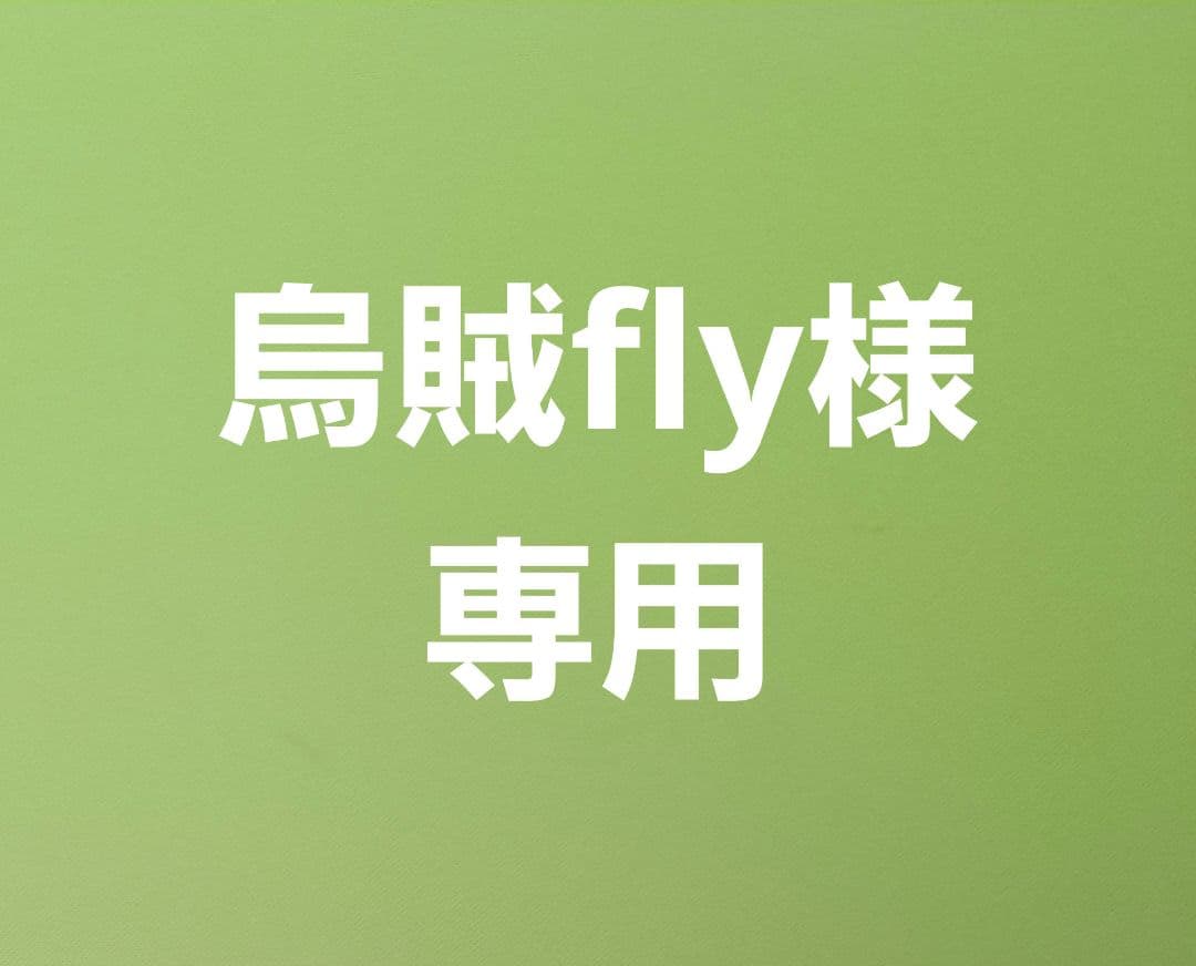 烏賊flyページです。