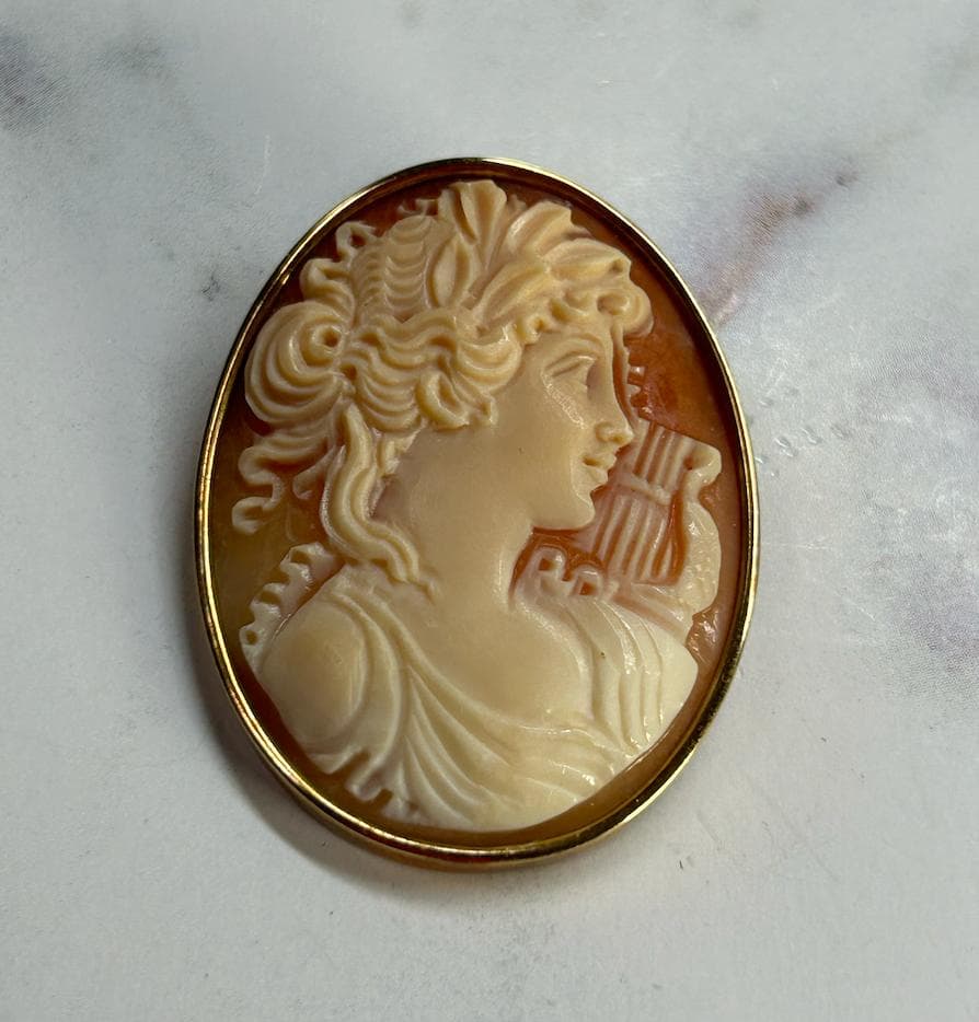 再値下げ　カメオ　ネックレス　ブローチ　ペンダントトップ　 2way