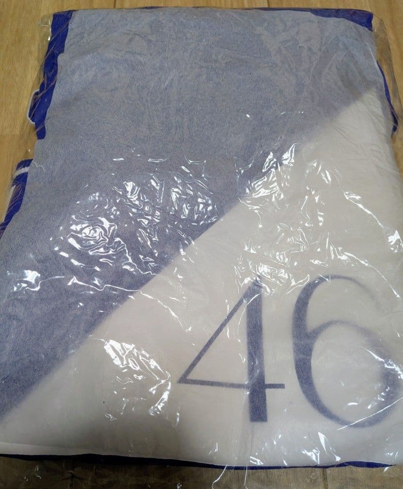 ASUKA ロゴ入り アパレル サイズ46　齋藤飛鳥