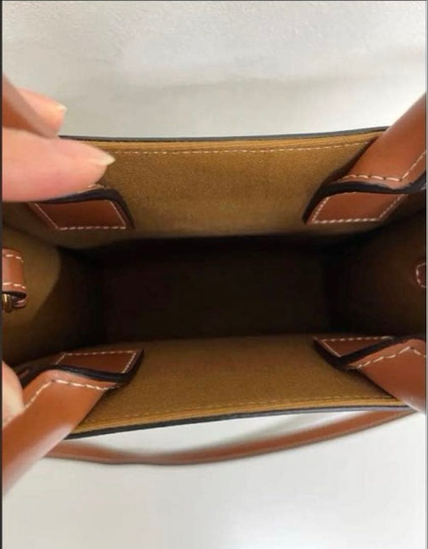 【超美品】CELINE ミニバーティカル トリオンフキャンバス