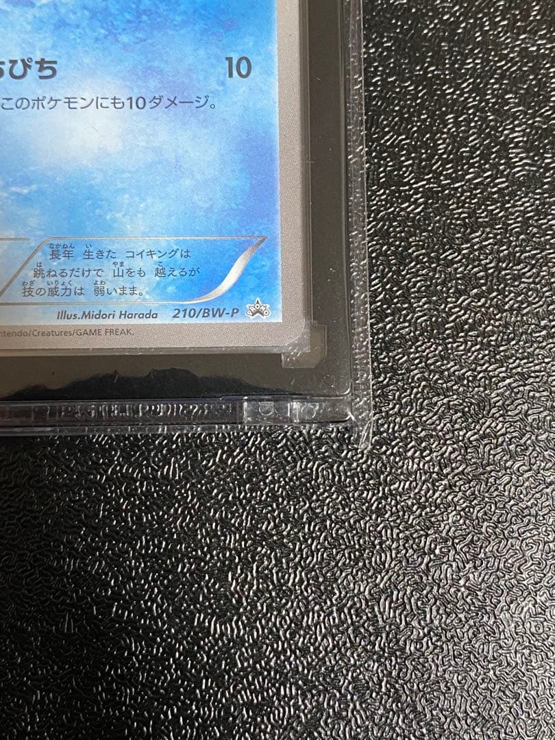 【稀少】ポケモンカード コイキング BW ジムプロモ　【極美品】