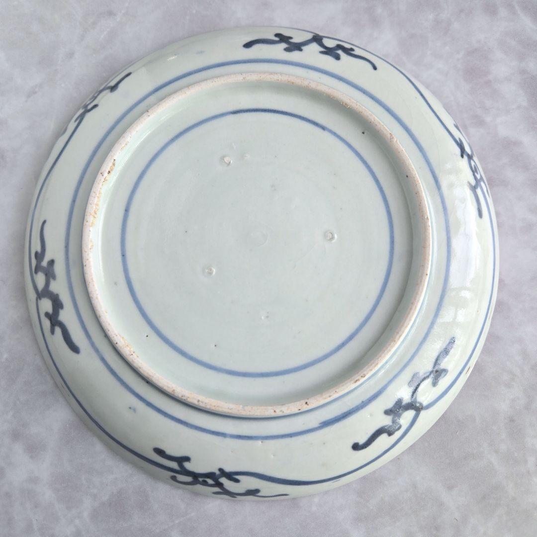 古伊万里　染付　七寸皿　椿　江戸時代　窓絵　骨董　アンティーク