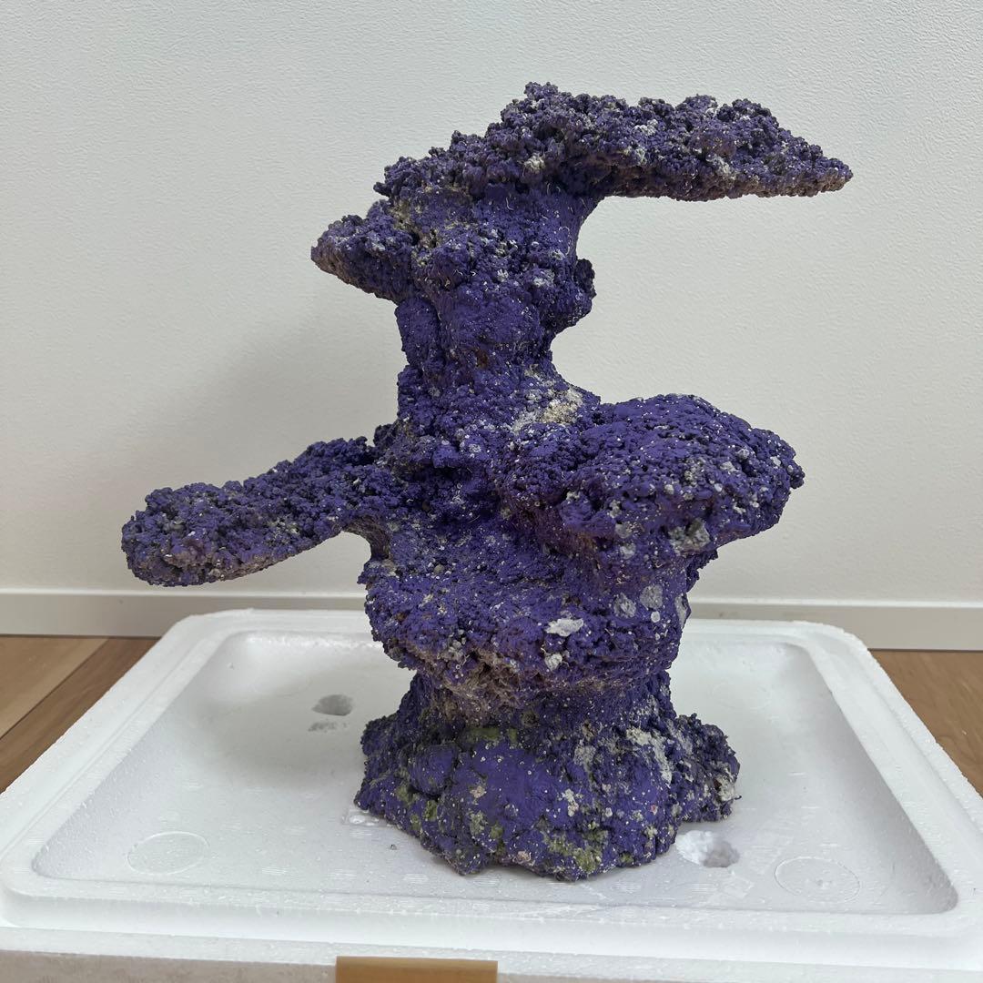 人口ライブロック 偽岩 レプリカライブロック サンゴ 人口 海水 水槽 ②