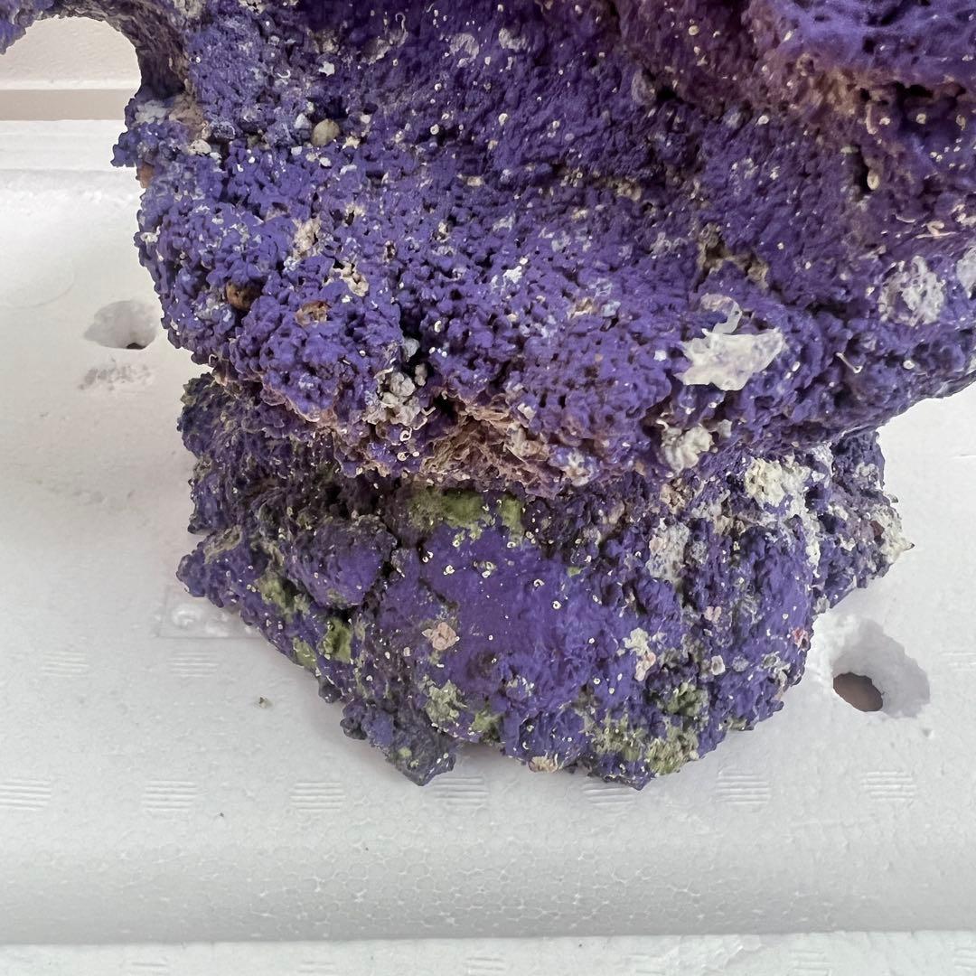 人口ライブロック 偽岩 レプリカライブロック サンゴ 人口 海水 水槽 ②