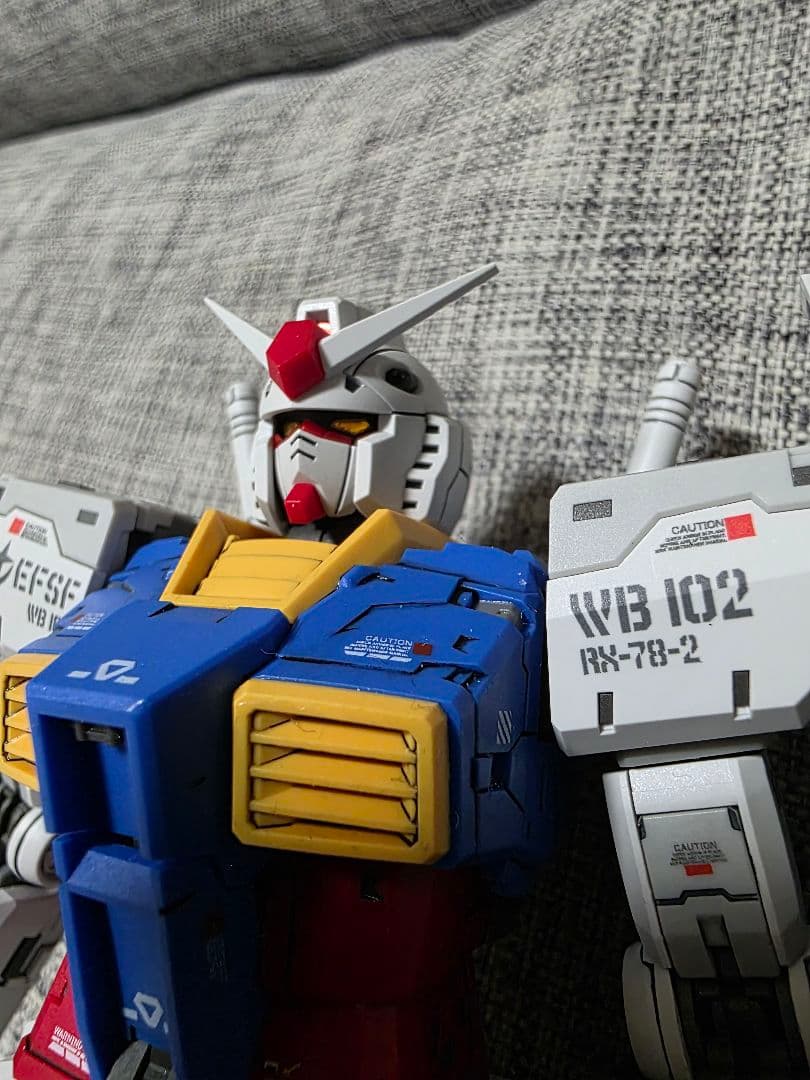 FAT CAT　胖虎　001