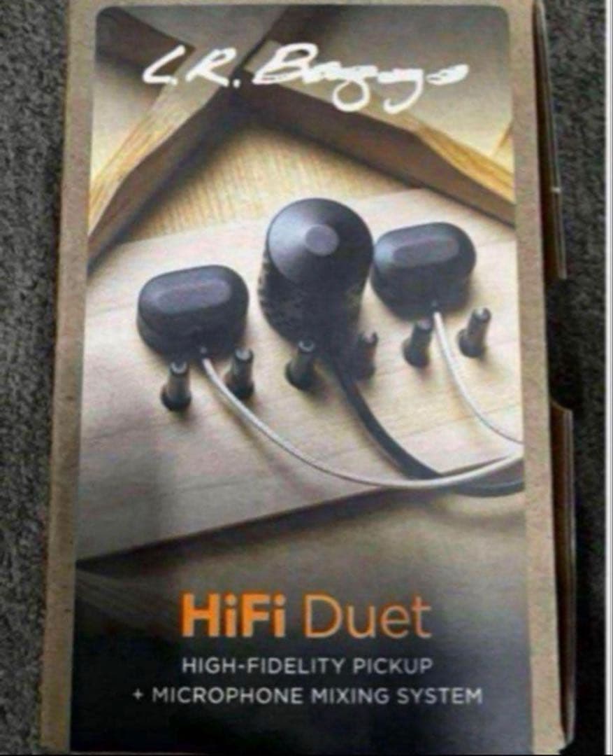 ギター LR BAGGS HiFi Duet