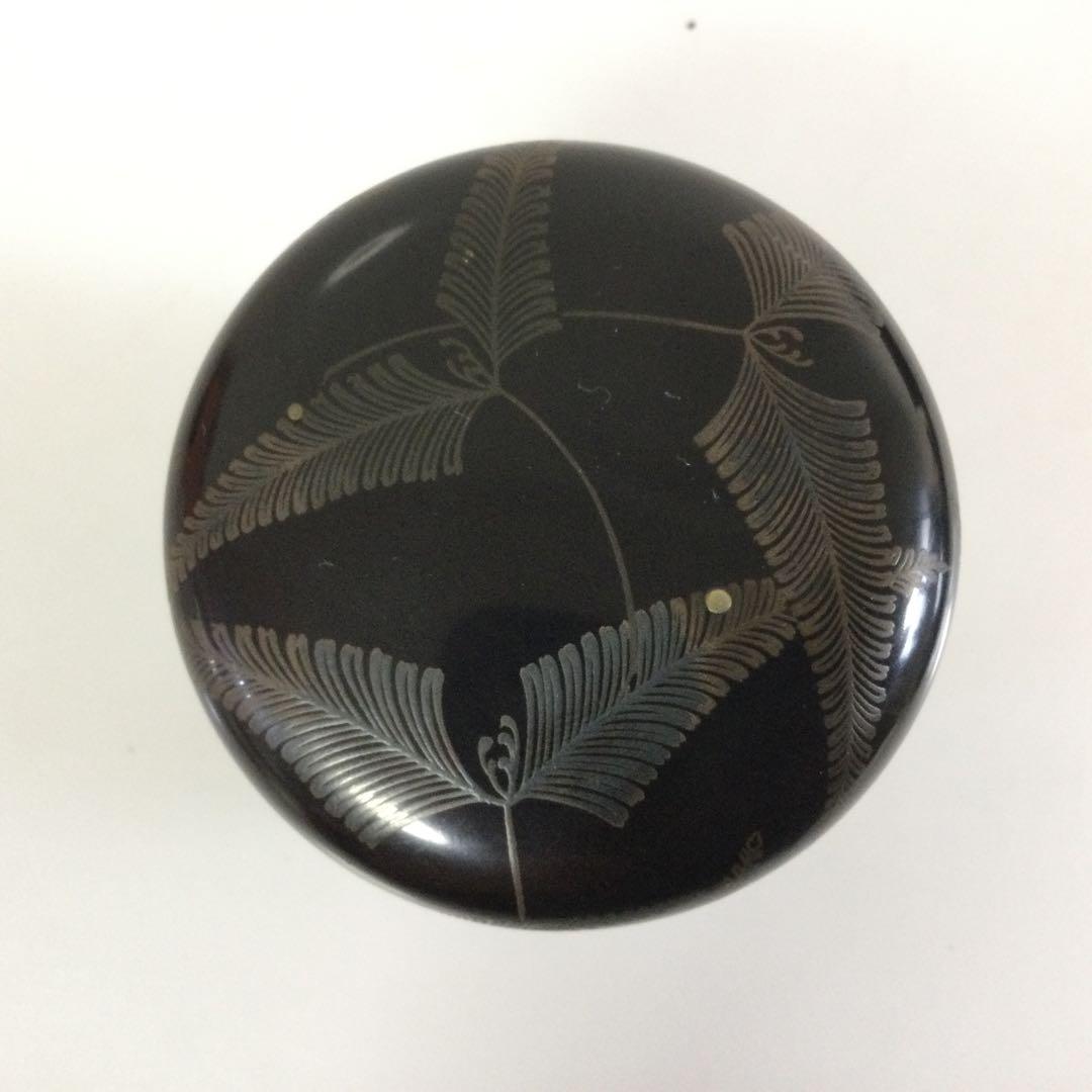 羊歯葉蒔絵棗 木製真塗 銘無し 茶道具 シダ植物 T707