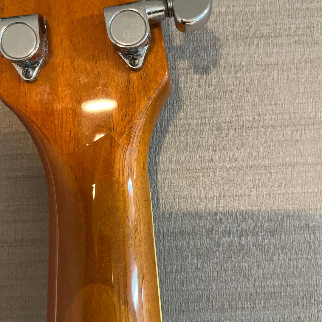 LaidBack レイドバック レスポール エレキギター トラ目 虎杢