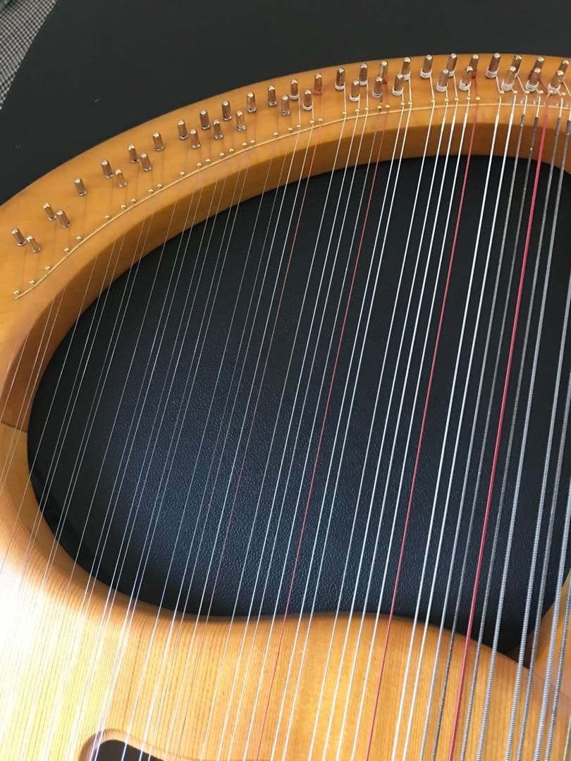 最終値下げ　19日発送　ゲルトナーテノーラライアー46弦