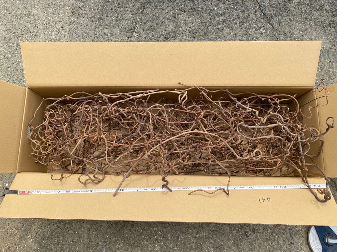 hakuyo キウイつる 160サイズ