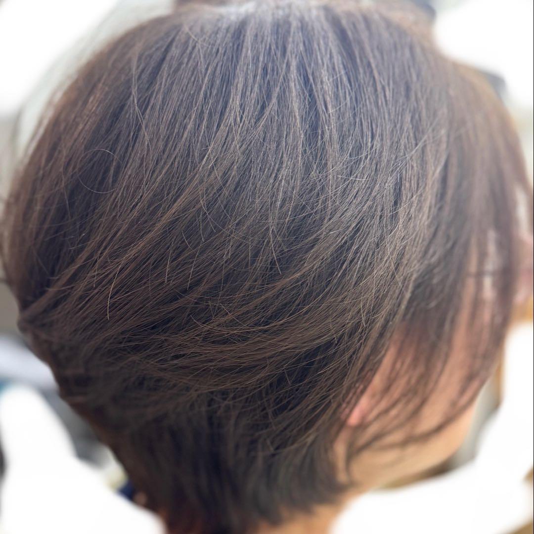 3Dウィッグ 百合子ウィッグレミー人毛100% サイズＬ