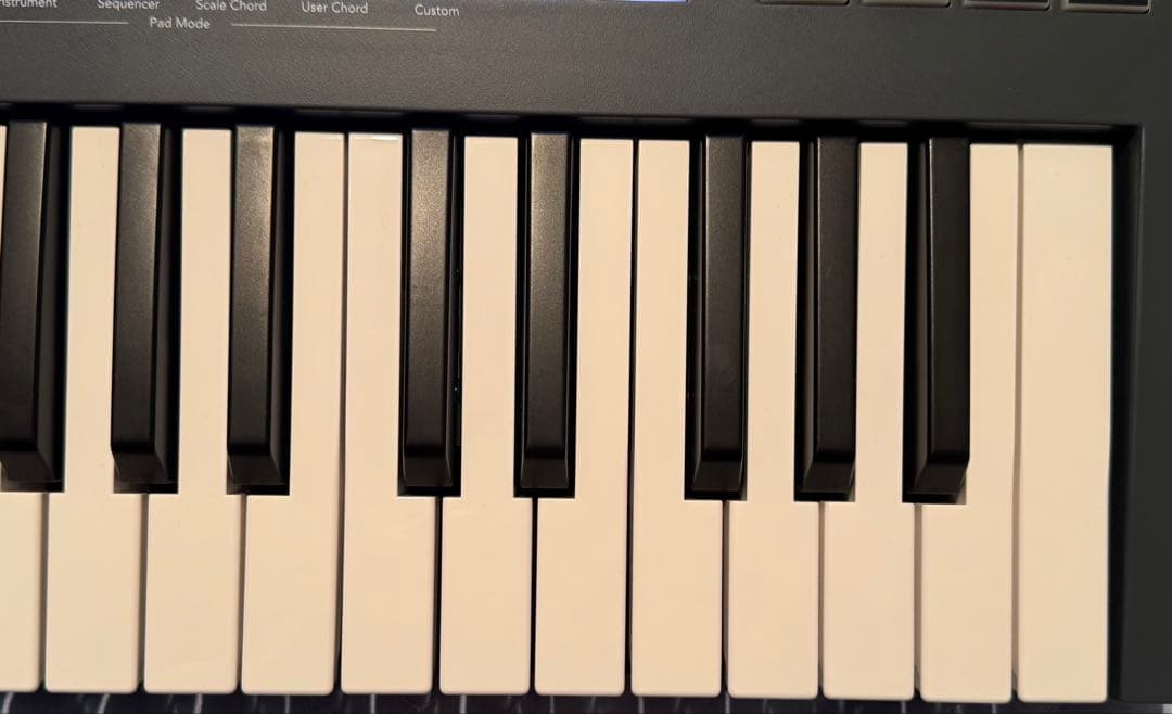 Novation FL KEY 37 MIDIキーボード 送料無料