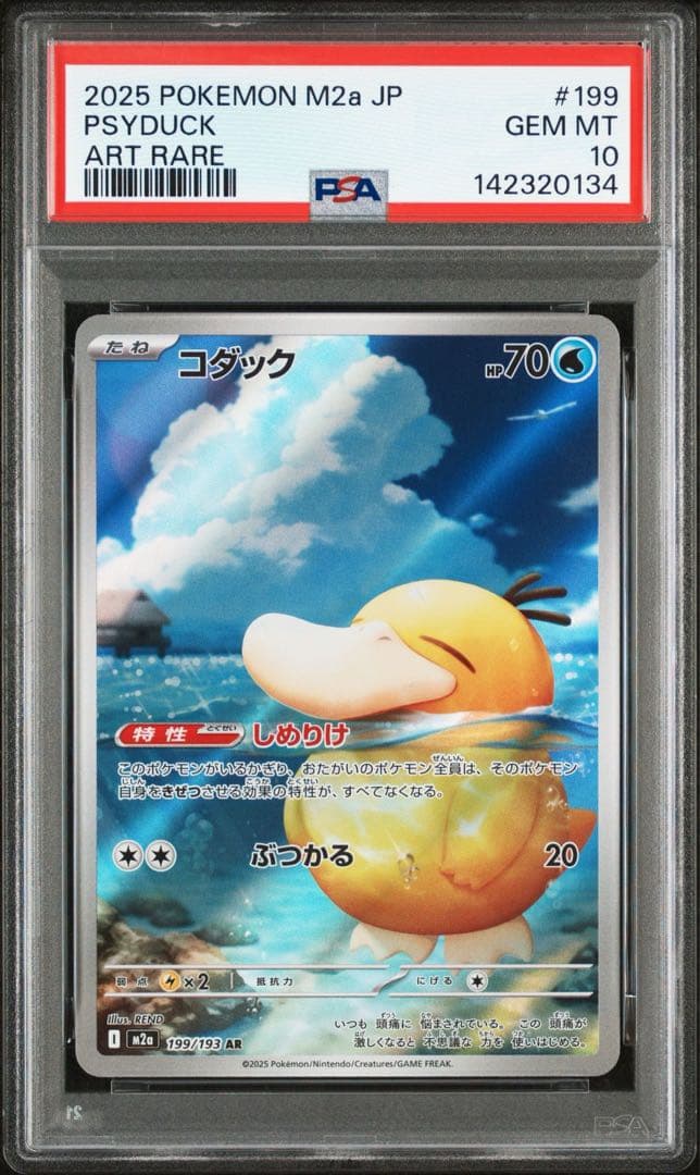 コダック AR PSA10 美品