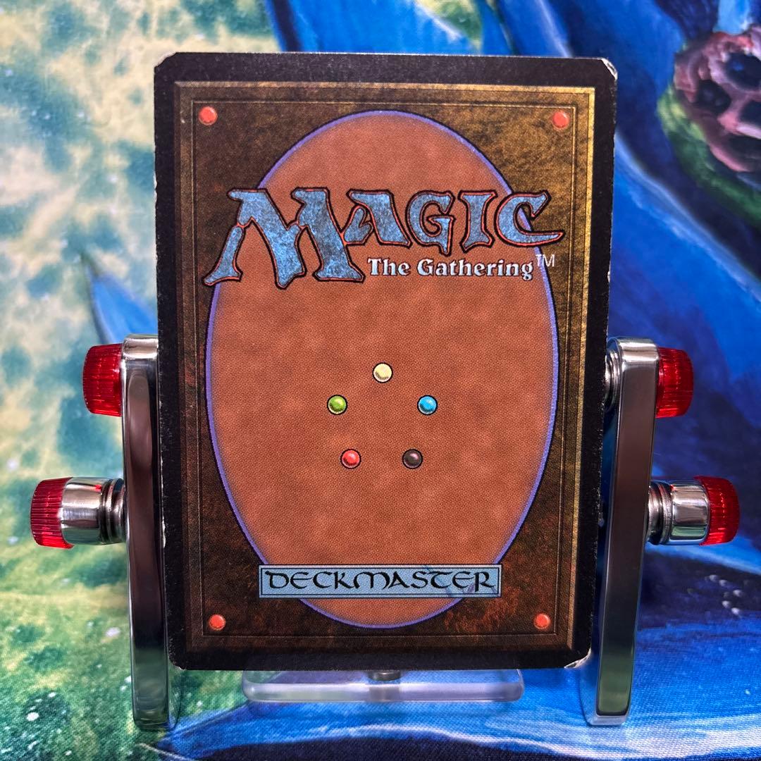 (5枚)沼　C MTG LEB ベータ　β [LEB] 基本土地