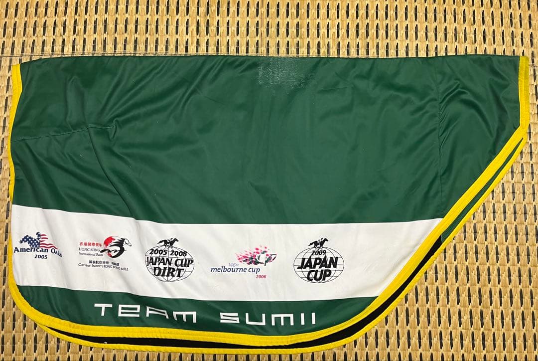 【一点物】エピファネイア実使用　調教用ラグ【一点物】