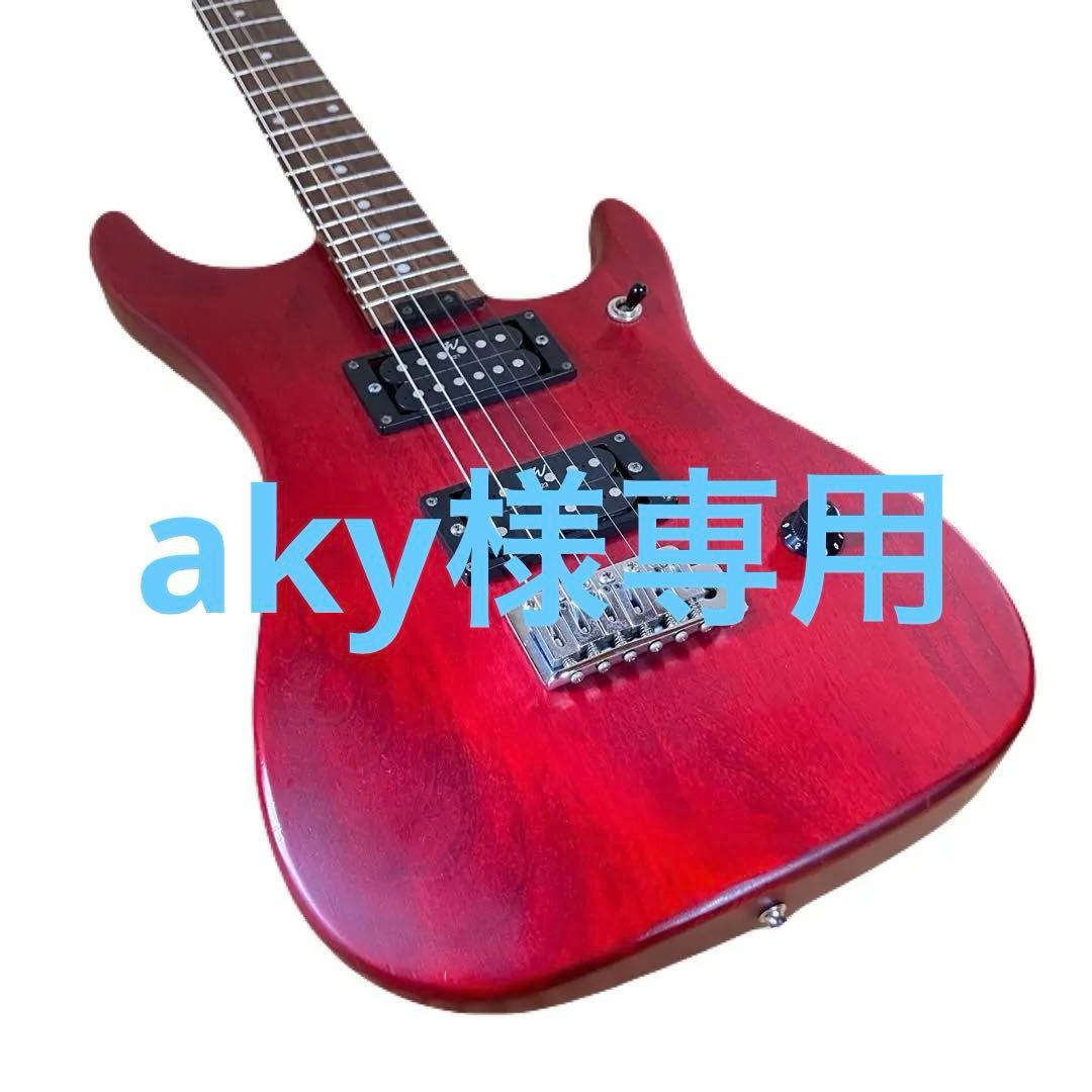 Washburn N1 Nunoモデル